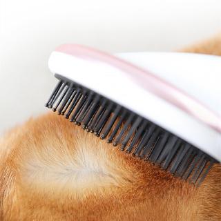Lược Sấy Khô Tóc Mát Xa Cho Thú Cưng