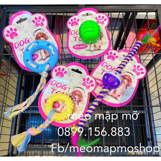 Combo 4 món đồ chơi cho chó