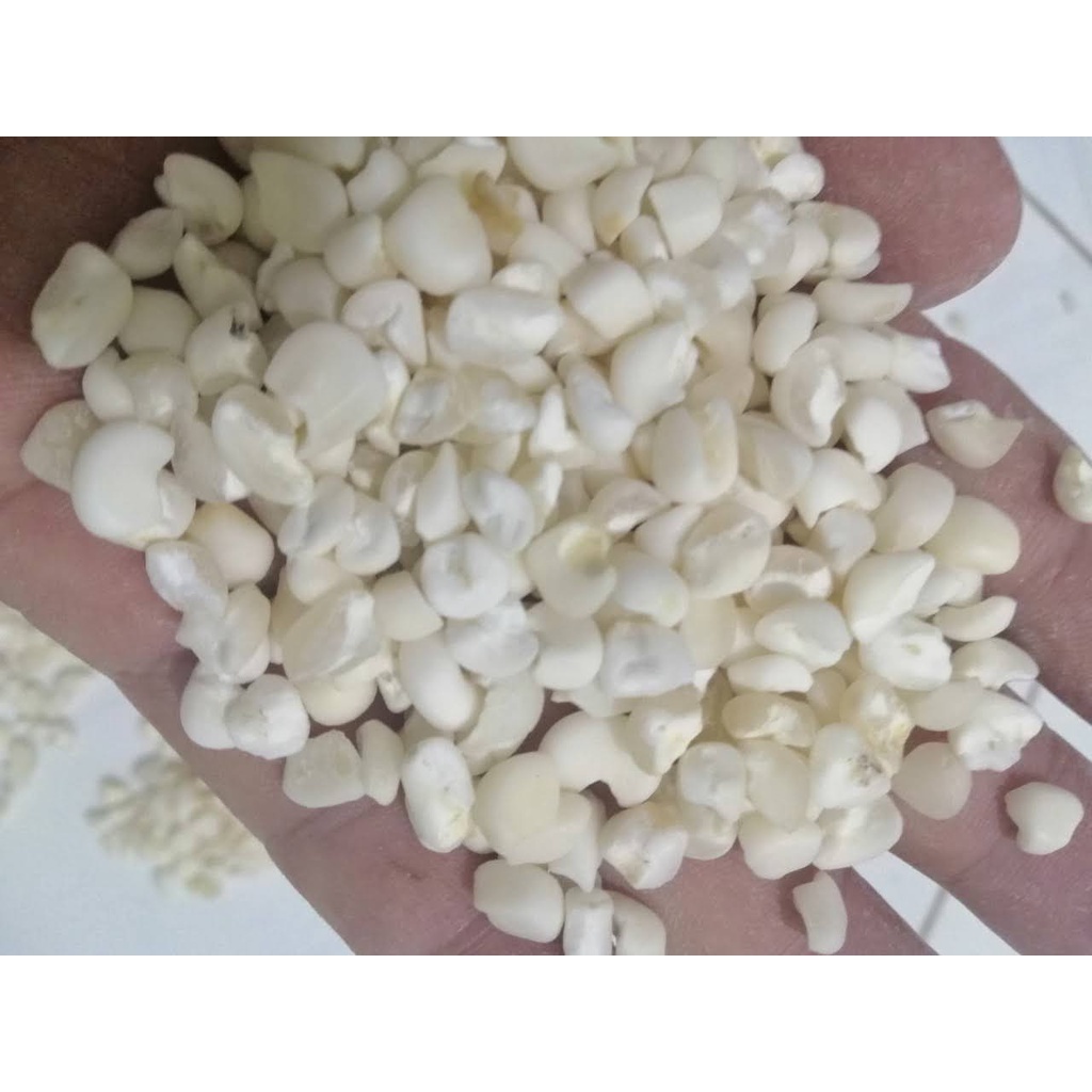 NGÔ BẮP NẾP XAY TO 5KG ( XUẤT KHẨU)