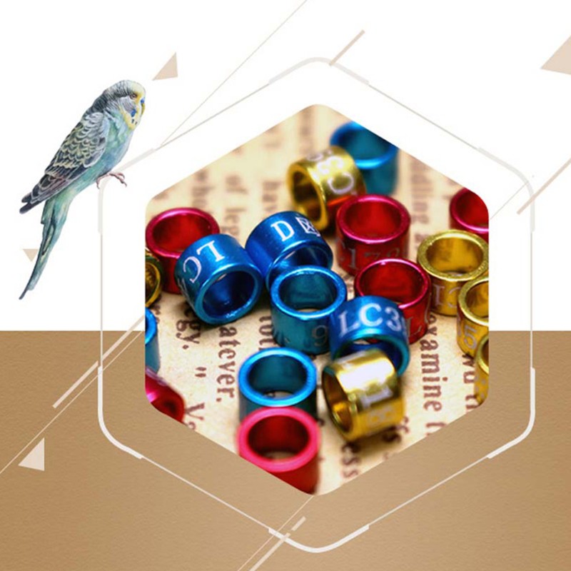 PIGEON Set 50 Vòng Kim Loại Gắn Vòng Đeo Chân Chim Bồ Câu