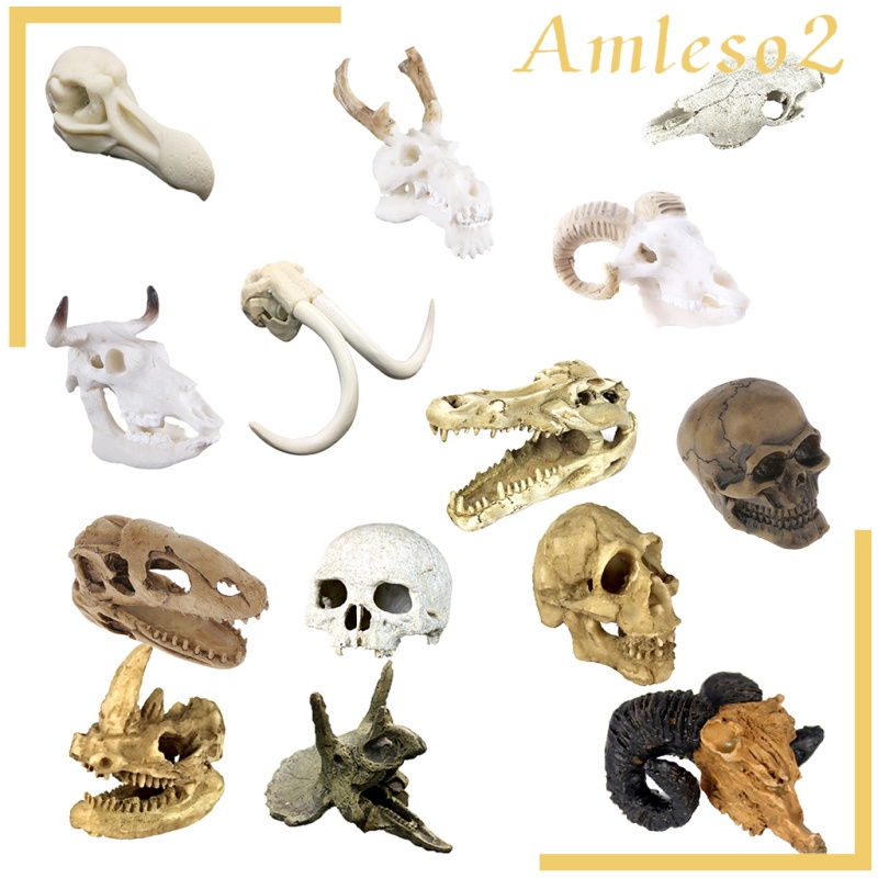 Đầu lâu / hang động rắn dùng làm đồ trang trí môi trường sống cho bò sát