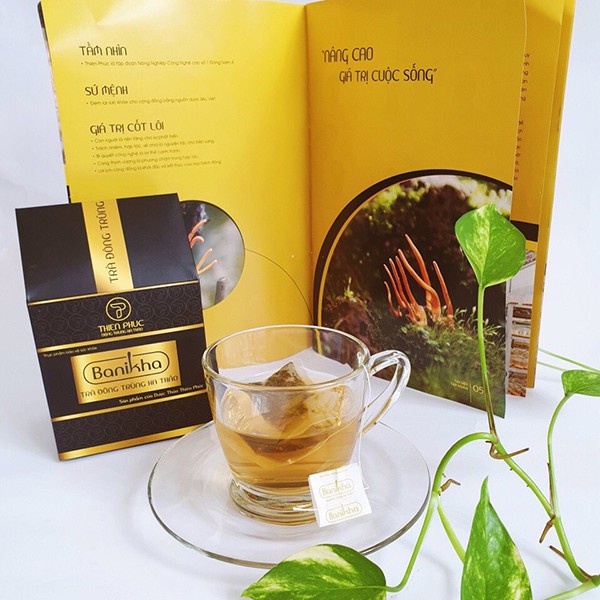 Trà đông trùng hạ thảo Banikha Thiên Phúc