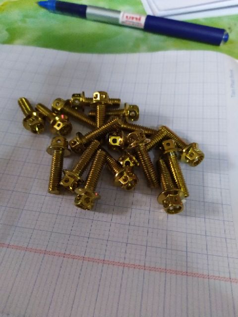 Ốc 6 ly 2 màu vàng (giá 1 con)