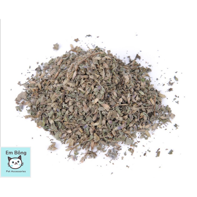 [⭐️ GIẢM GIÁ LẤY DOANH SỐ] Cỏ mèo (catnip)