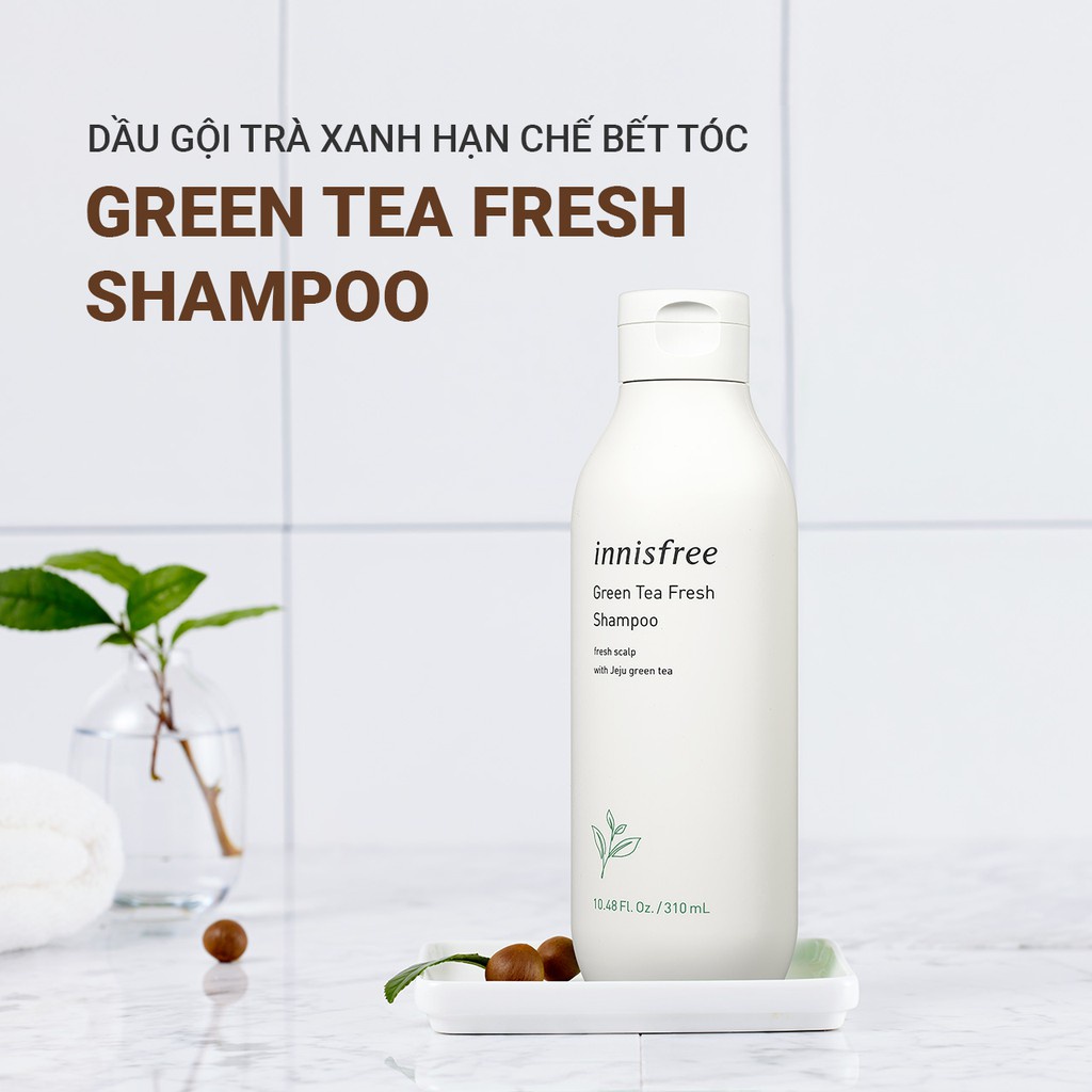 [Mã COSIF05 giảm 10% đơn 400K] Dầu gội trà xanh innisfree Green Tea Fresh Shampoo hạn chế bết tóc 310ml