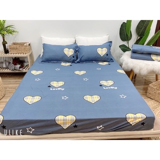 Ga trải giường cotton poly cao cấp