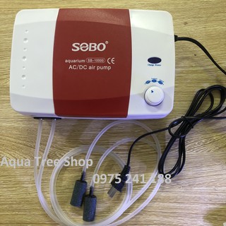 Máy sủi oxy tích điện sb-10000 công suất lớn 12w + 2 dây sủi + 2 quả sủi