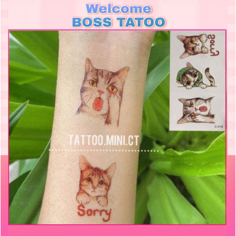 Hình xăm tatoo mèo munchkin sorry - mèo lêu lêu - sorry h19