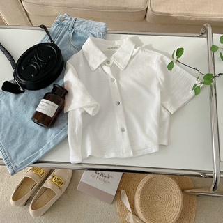 Áo polo croptop chất xốp mềm basic