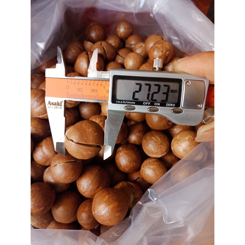 Hạt Macca loại 1 (Macadamia) Đắc Lắc 1kg  sấy giòn nguyên vỏ  + Tặng đồ khui