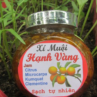 Xí Muội Hạnh Vàng ( Tắc Xí Muội )