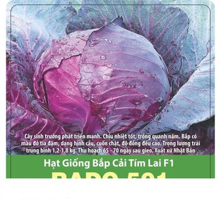 Hạt Giống Bắp Cải Tím F1 Chịu Nhiệt, Năng Suất Cao 0.5gr
