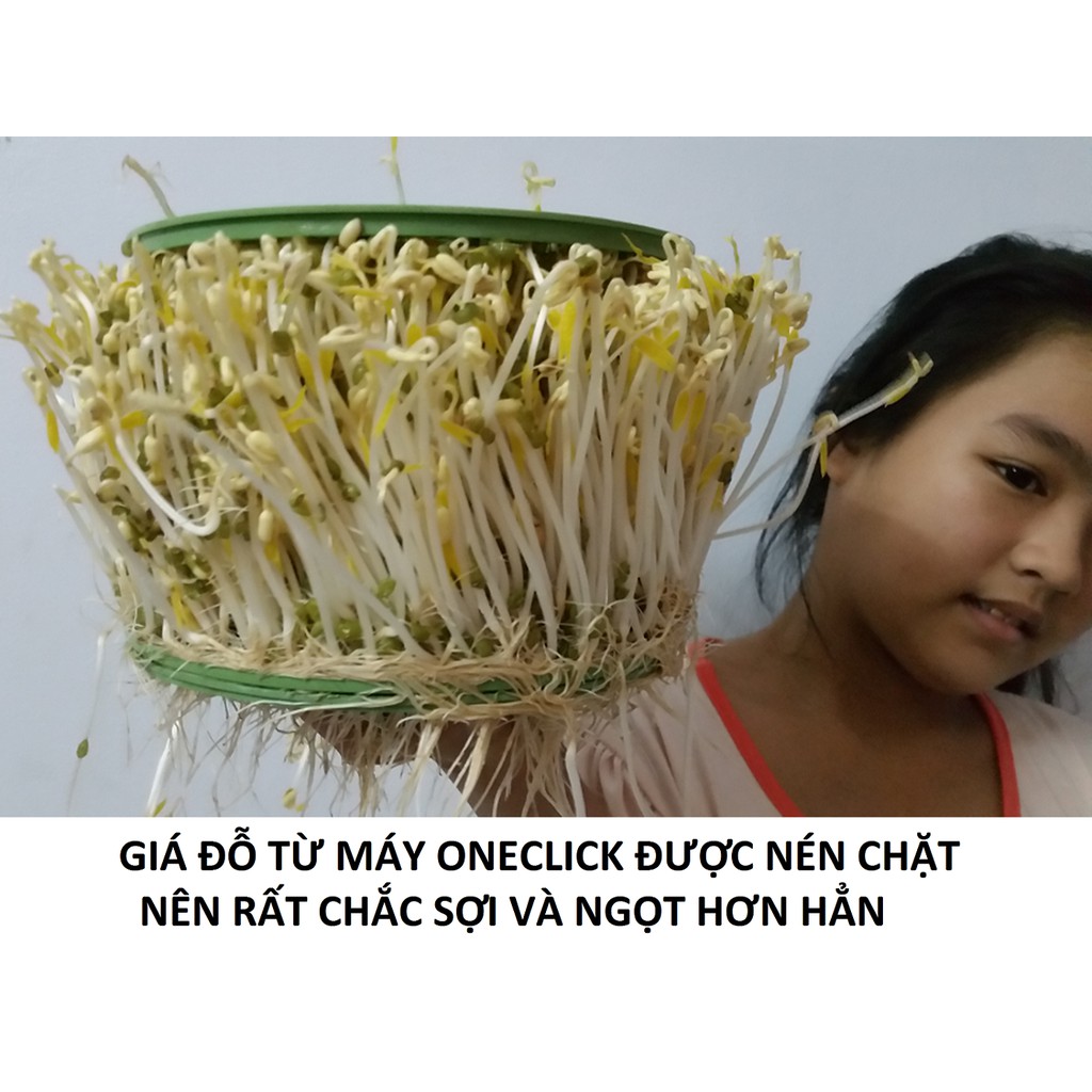 Máy làm giá đỗ và rau mầm OneClick