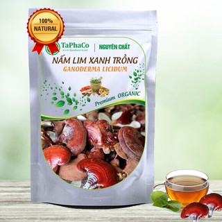 [Hàng Công Ty] Nấm lim xanh trồng khô [Loại 1, Thượng Hạng], Ngăn lại ung thư, Bảo vệ gan, Tăng cường sức khỏe