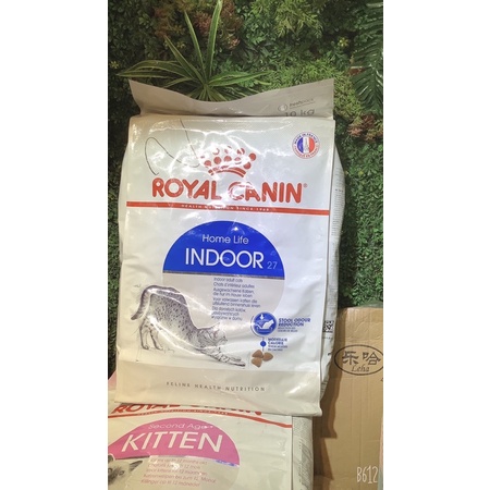 Hạt Royal Canin Indoor cho mèo trưởng thành 10kg