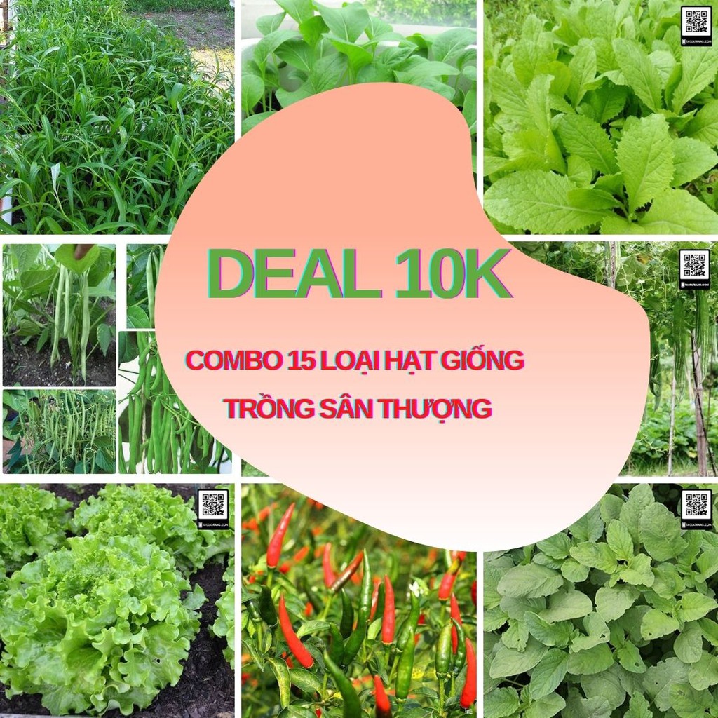 Deal 10K - Combo 15 loại hạt giống rau củ quả trồng sân thượng đầy đủ - Tập làm vườn cùng Tạ Gia Trang