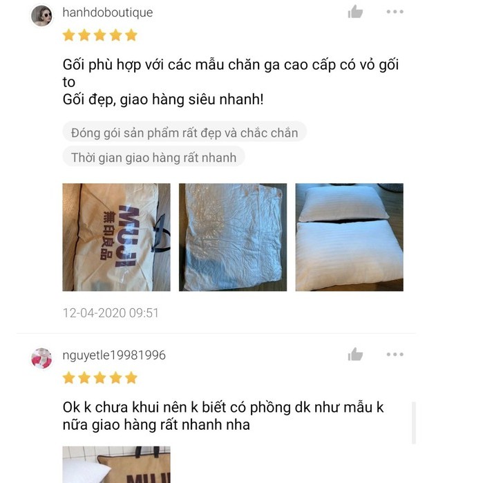 Ruột gối Muji 45x65 cao cấp ép hơi Dreamhome (1 đôi)