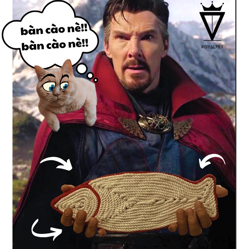 ĐỒ CHƠI,BÀN CÀO MÓNG CHO MÈO NHIỀU HÌNH KUTE