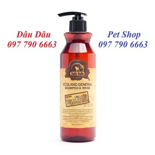 Bàn chải đánh răng Budle'Budle