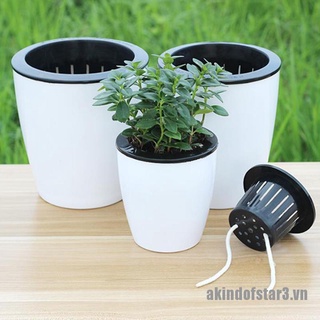 Chậu Trồng Cây Thủy Canh Hấp Thụ Nước Đa Năng Tiện Lợi