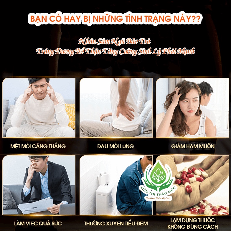✅[CHÍNH HÃNG] Nhân Sâm Ngũ Bảo Trà Nam Tráng Dương Bổ Thận Tăng Cường Sinh Lực Giảm Stress Căng Thẳng, Giảm Đau Lưng