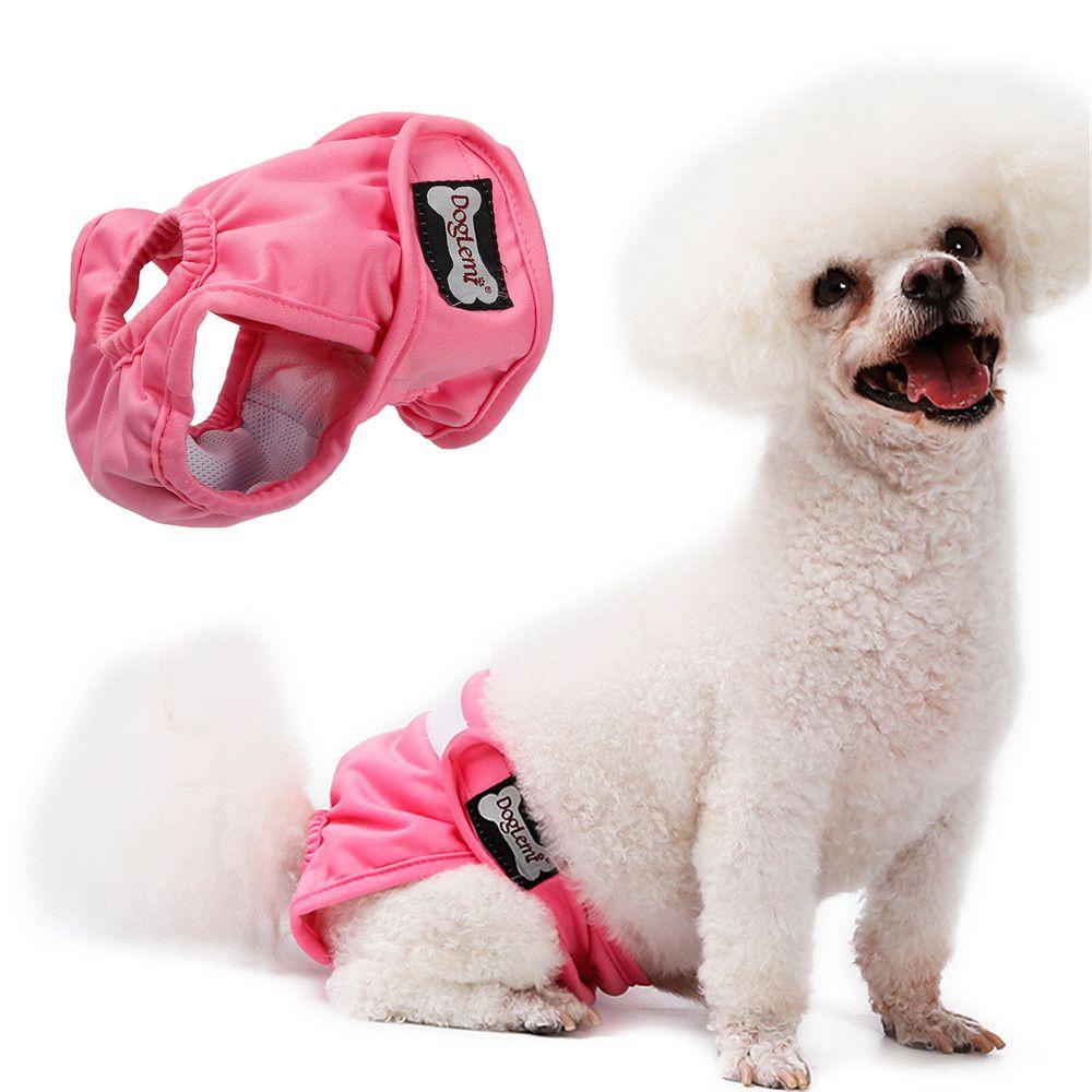 Layor1 Quần Lót Sinh Lý Mềm Mại Thấm Hút Tốt Cho Cún Cưng