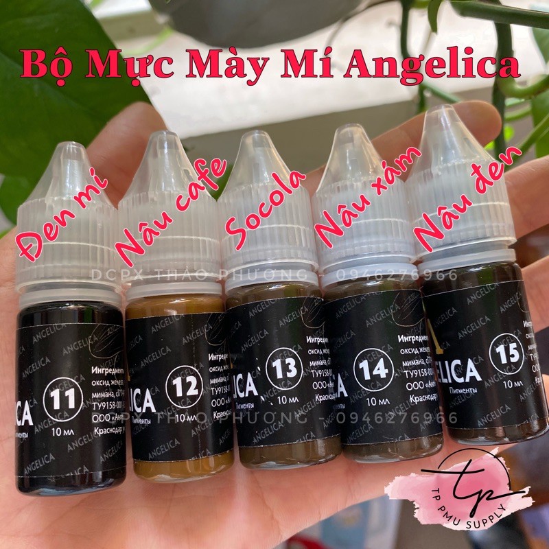 MỰC MÀY ANGELICA NGA