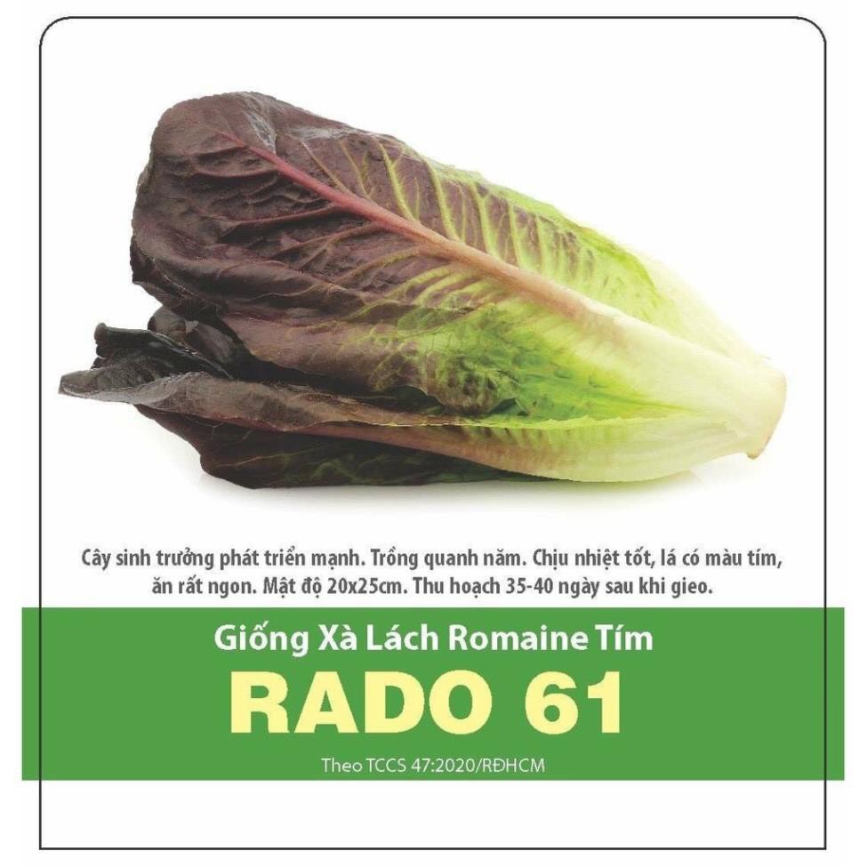 Xà Lách Romaine Tím Rạng Đông