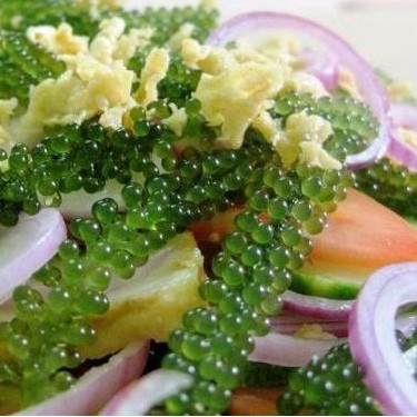 Rong Nho Tách Nước 100% Natural Hàng Công Ty Check Thông Tin Qua Mã Vạch | BigBuy360 - bigbuy360.vn