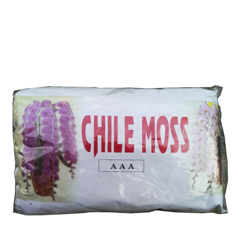 Dớn chile giá thể trồng lan 100g  gói chiết lẻ