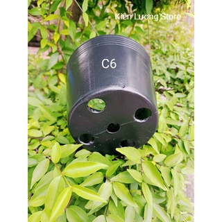 Chậu nhựa đen C6