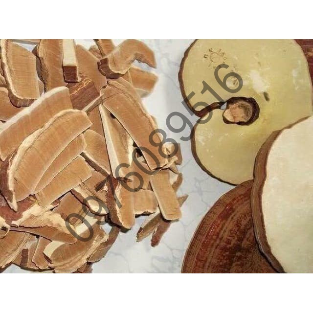 NẤM LINH CHI HÀN QUỐC, TÚI 1KG