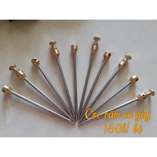 Nọc đánh trần cu gáy