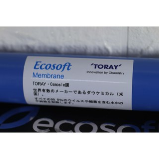 Lõi lọc nước số 4 màng RO 100G Ecosoft