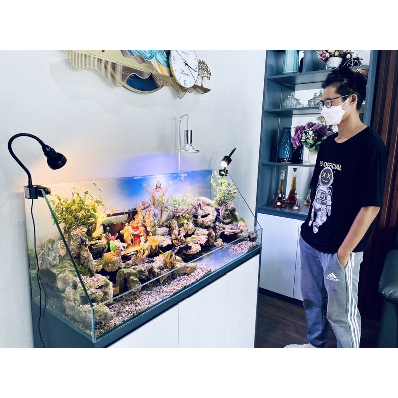 Hồ cá tiểu cảnh phong cách Công giáo độc đáo by Kelsey Mặt Trời Vàng