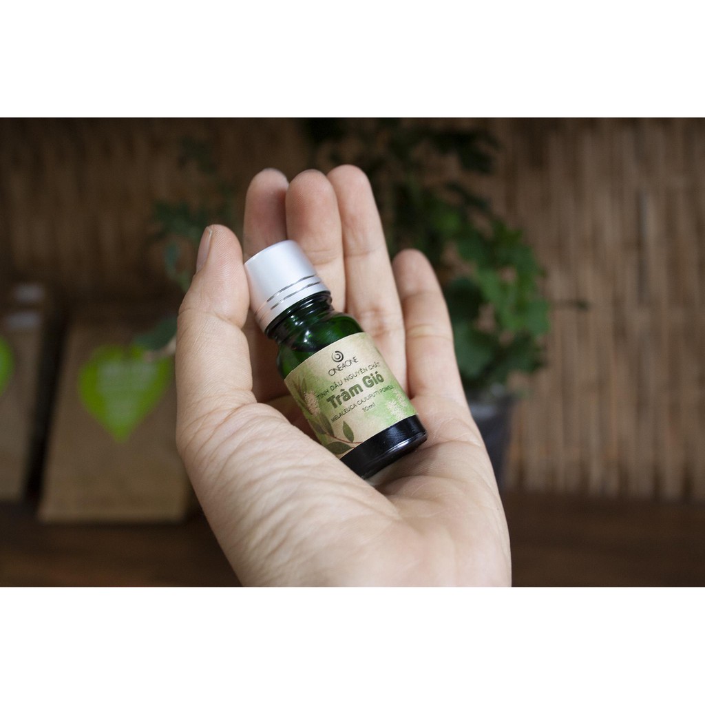 Tinh Dầu Tràm Gió Thiên Nhiên Nguyên Chất 100% One4One 10ml - 50ml - Cajeput Essential Oil