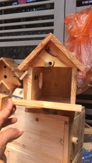 Tổ đẻ Love bird, Yến phụng, Cook