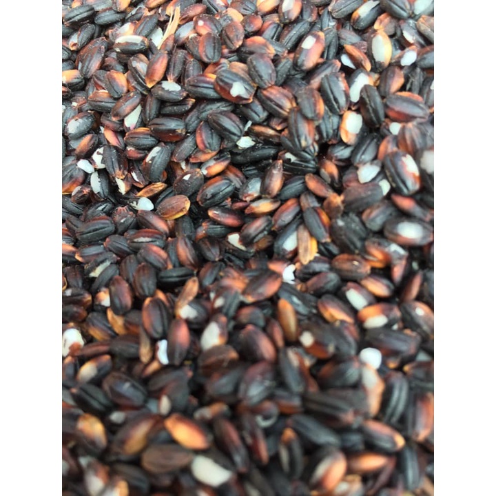 Gạo Nếp Cẩm Dẻo Thơm Vùng Núi Tây Bắc 1kg.