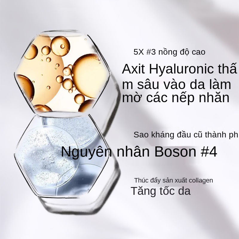 Xanh nước biển màu xanh. Loại sắt to lớn mặt, đường ánh sáng bằng bọt hồ nước, chất lấp đầy những mẫu nhỏ nâu ở Bose, 7.