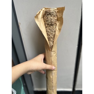 Trụ dớn chi lê