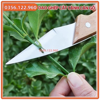 Dao chiết ghép cành cán gỗ
