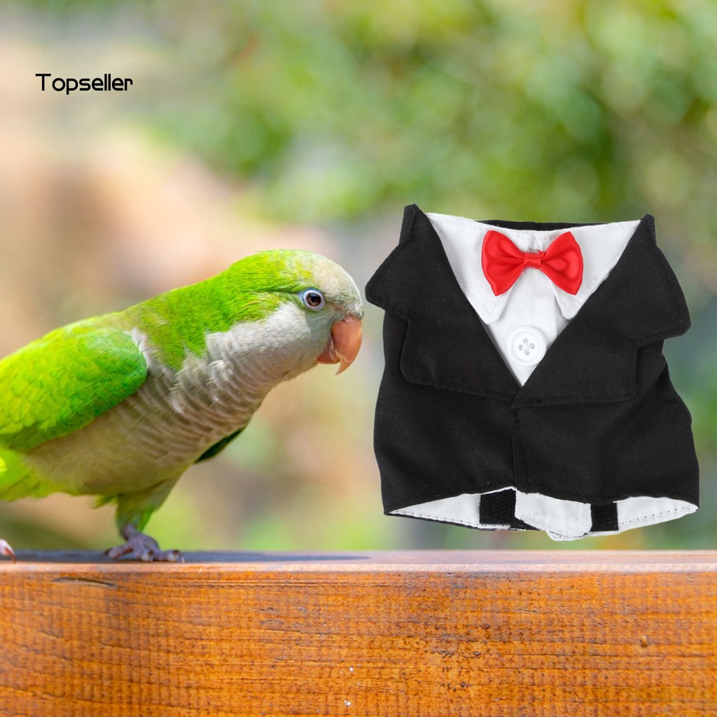 Áo Khoác Lông Vũ / Nơ Cổ Mini Dễ Thương Cho Chim Vẹt Chơi