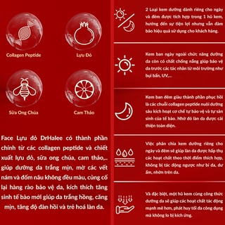 Combo 2 Hộp Kem Face Ruby Lựu Đỏ Ngày&đêm DrHalee