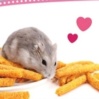 Bánh Cà rốt/Bí Ngô cho Thỏ, Bọ, Chinchilla và Hamster- Hàng Alice - Bản xuất khẩu