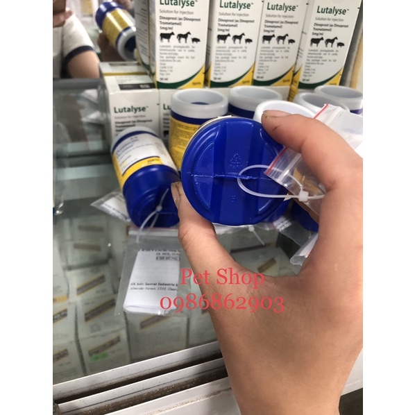 Doramectin ve ghẻ cho thú cảnh, chó , mèo lọ 50ml