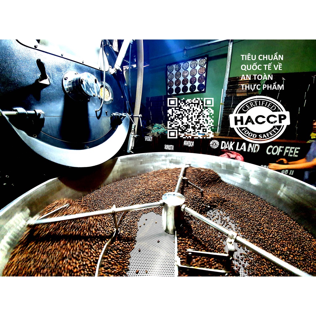 DAKLAND COFFEE -CÀ PHÊ SẠCH ROBUSTA | BigBuy360 - bigbuy360.vn