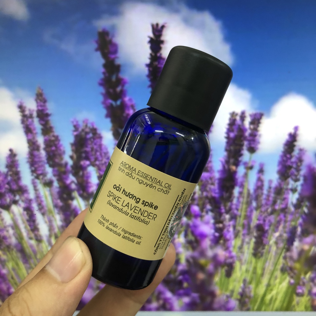 Tinh dầu Oải hương Lachampa  -Lavender Spike Pháp - hương thơm ấm ngọt, giúp ngủ ngon
