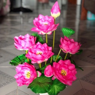 Combo 10 cụm hoa sen ( 3 bông +1 búp + 1 đài+ lá)