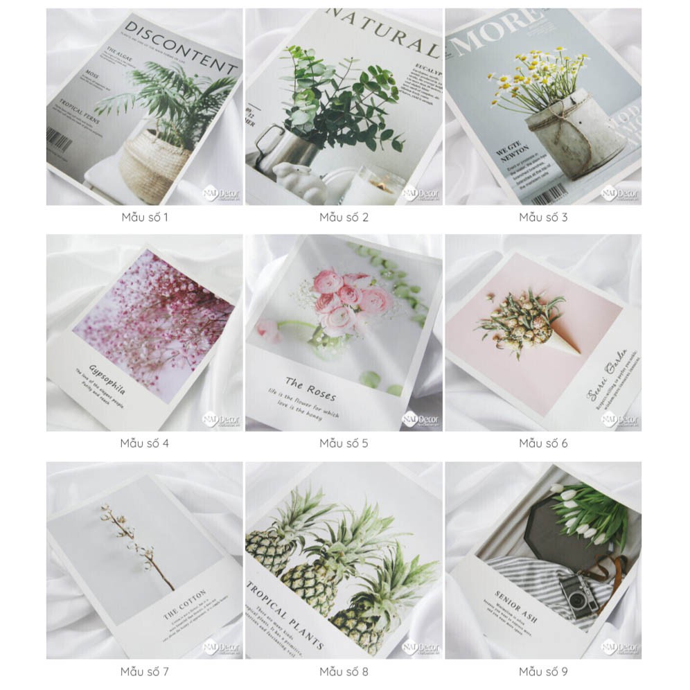 [Phụ kiện chụp ảnh] Bìa tạp chí chụp ảnh Size nhỏ