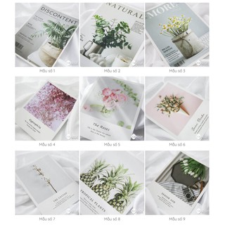 Bìa tạp chí chụp ảnh Size nhỏ